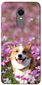 Чехол Корги в цветах для Xiaomi Redmi 5 Plus