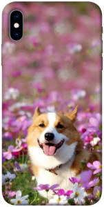 Чохол Коргі в квітах для iPhone XS (5.8")