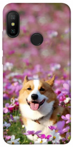 Чохол Коргі в квітах для Xiaomi Redmi 6 Pro