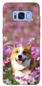 Чехол Корги в цветах для Galaxy S8 (G950)