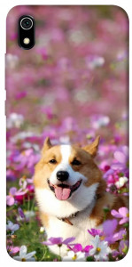 Чохол Коргі в квітах для Xiaomi Redmi 7A