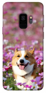 Чехол Корги в цветах для Galaxy S9