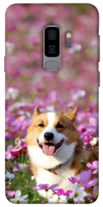 Чехол Корги в цветах для Galaxy S9+