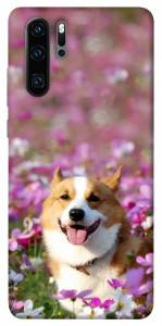 Чохол Коргі в квітах для Huawei P30 Pro