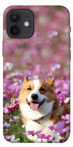 Чохол Коргі в квітах для iPhone 12