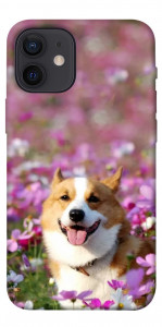 Чохол Коргі в квітах для iPhone 12 mini