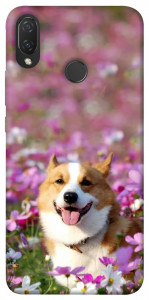 Чехол Корги в цветах для Huawei P Smart+