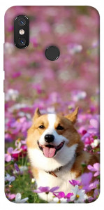 Чехол Корги в цветах для Xiaomi Mi 8