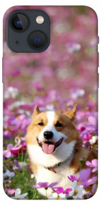 Чехол Корги в цветах для iPhone 13 mini