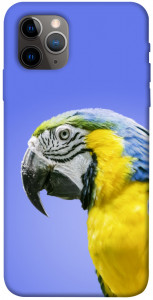 Чехол Попугай ара для iPhone 11 Pro