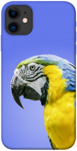 Чехол Попугай ара для iPhone 11