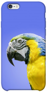 Чехол Попугай ара для iPhone 6s (4.7'')
