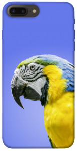 Чехол Попугай ара для iPhone 8 plus (5.5")
