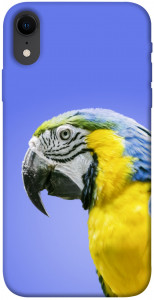 Чехол Попугай ара для iPhone XR