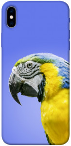 Чехол Попугай ара для iPhone XS Max