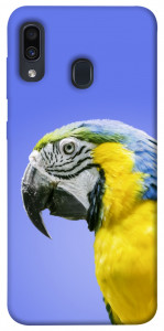 Чехол Попугай ара для Samsung Galaxy A30