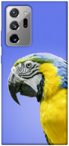 Чехол Попугай ара для Galaxy Note 20 Ultra