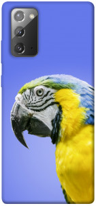 Чехол Попугай ара для Galaxy Note 20