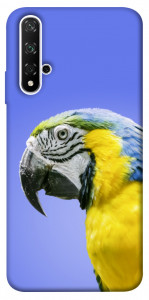 Чехол Попугай ара для Huawei Honor 20