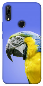 Чехол Попугай ара для Huawei P Smart Z