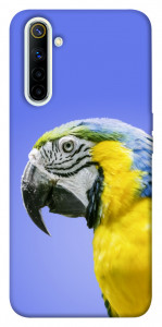 Чехол Попугай ара для Realme 6