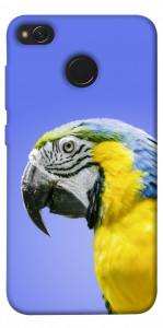 Чохол Папуга ара для Xiaomi Redmi 4X