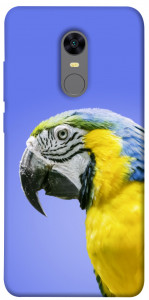 Чехол Попугай ара для Xiaomi Redmi 5 Plus