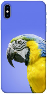 Чехол Попугай ара для iPhone XS