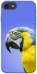 Чехол Попугай ара для iPhone 7 (4.7'')
