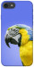 Чехол Попугай ара для iPhone 8