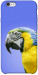Чехол Попугай ара для iPhone 6S Plus