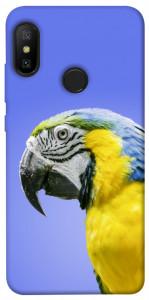 Чехол Попугай ара для Xiaomi Redmi 6 Pro