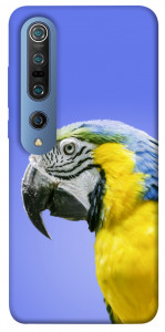 Чехол Попугай ара для Xiaomi Mi 10