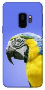 Чехол Попугай ара для Galaxy S9