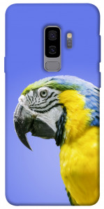Чехол Попугай ара для Galaxy S9+