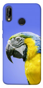 Чехол Попугай ара для Huawei P20 Lite