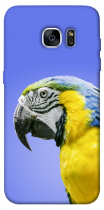 Чехол Попугай ара для Galaxy S7 Edge