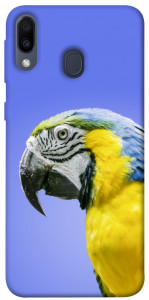Чехол Попугай ара для Galaxy M20