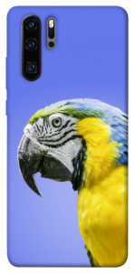 Чехол Попугай ара для Huawei P30 Pro
