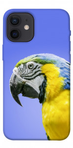 Чохол Папуга ара для iPhone 12 mini