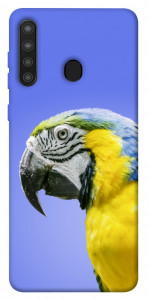 Чехол Попугай ара для Galaxy A21