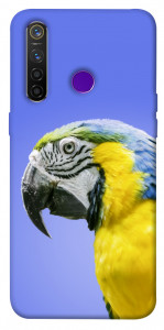 Чехол Попугай ара для Realme 5 Pro
