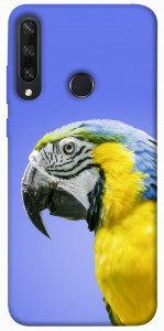 Чохол Папуга ара для Huawei Y6p