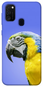Чехол Попугай ара для Samsung Galaxy M30s
