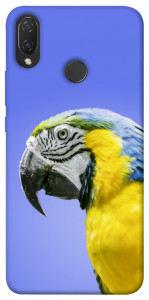 Чехол Попугай ара для Huawei P Smart+