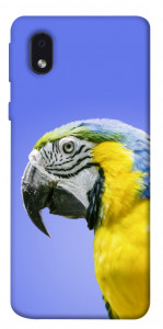 Чехол Попугай ара для Samsung Galaxy M01 Core