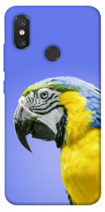 Чехол Попугай ара для Xiaomi Mi 8