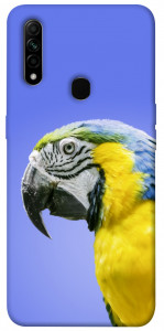Чехол Попугай ара для Oppo A31
