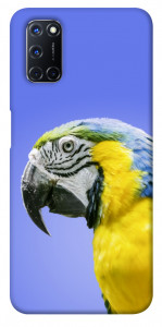 Чехол Попугай ара для Oppo A52