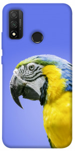 Чехол Попугай ара для Huawei P Smart (2020)